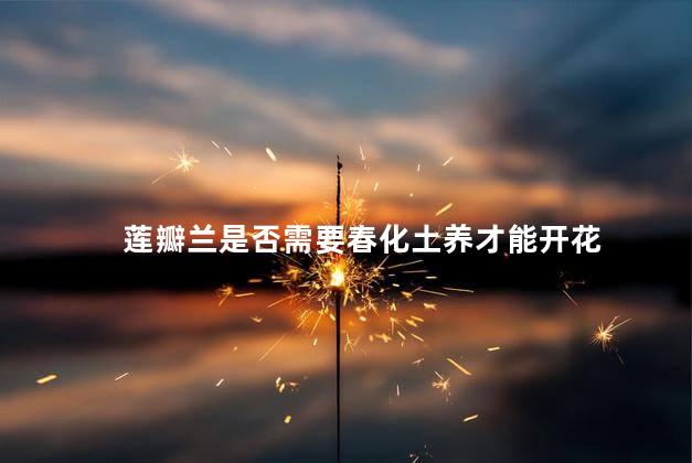 莲瓣兰是否需要春化土养才能开花，莲瓣兰是不是需要春化土养才能开花呢