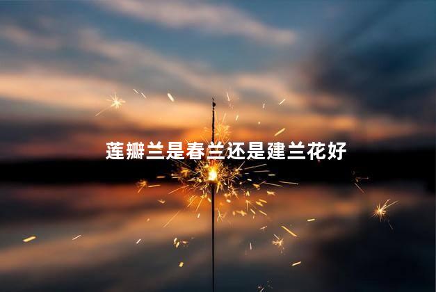 莲瓣兰是春兰还是建兰花好，莲瓣兰是春兰好还是建兰花好