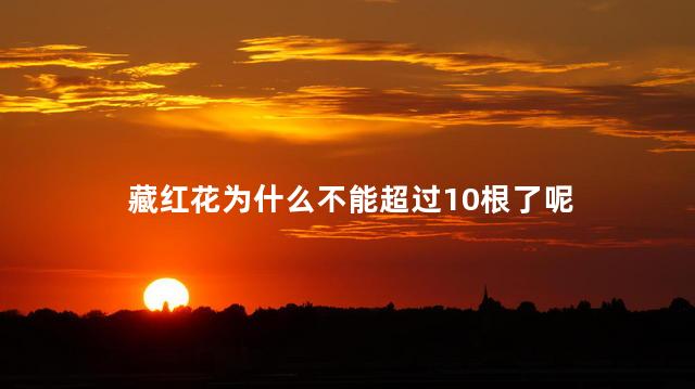 藏红花为什么不能超过10根了呢，藏红花为什么不能放多了