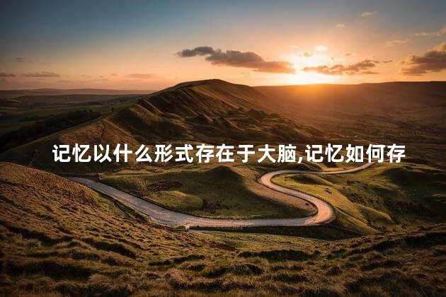 记忆以什么形式存在于大脑,记忆如何存在于大脑中