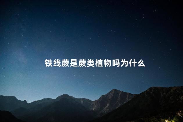 铁线蕨是蕨类植物吗为什么，铁线蕨为什么属于蕨类植物呢