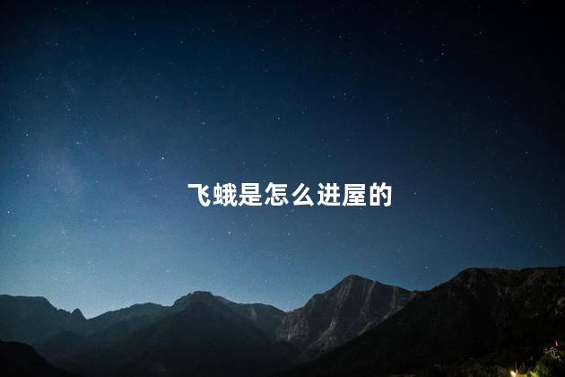 飞蛾是怎么进屋的，飞蛾怎么飞进来的