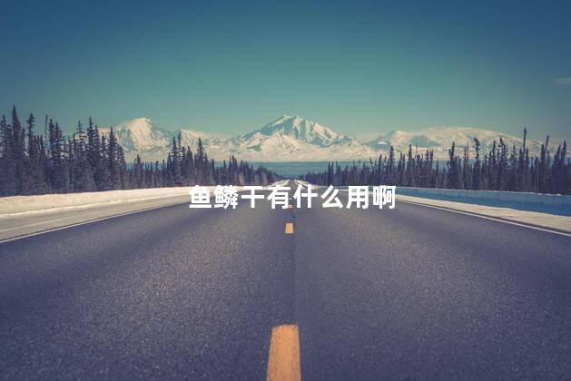 鱼鳞干有什么用啊,鱼鳞干的用途